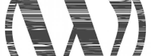 logotipo de wordpress distorsionado