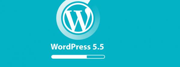 Logotipo de WordPress sobre fondo azul claro con el texto WordPress 5.5 y una barra de progreso
